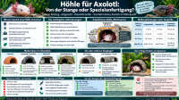 Der Artikel Höhle für Axolotl: Von der Stange oder Spezialanfertigung? ist neu oder wurde geändert.