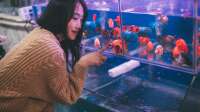 Der Artikel So findest du online Gleichgesinnte für dein Aquarium-Hobby ist neu oder wurde geändert.