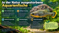 Der Artikel In der Natur ausgestorbene Aquarienfische: Wenn die Haltung zum letzten Rückzugsort wird ist neu oder wurde geändert.