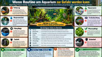 Der Artikel Wenn Routine am Aquarium zur Gefahr werden kann ist neu oder wurde geändert.