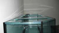 Der Artikel Glasstege: Das ist ihre Funktion im Aquarium ist neu oder wurde geändert.