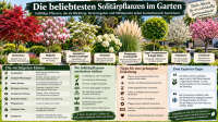 Der Artikel Die beliebtesten Solitärpflanzen im Garten ist neu oder wurde geändert.