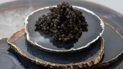 Fische als Luxus-Nahrungsquelle: Der Kaviar