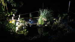 Nachts am Teich: Stimmungsvolle Atmosphäre mit der passenden Beleuchtung schaffen
