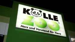 Kölle-Zoo feiert Eröffnung in Nürnberg-St. Leonhard mit 20.000 neuen "Einwohnern"