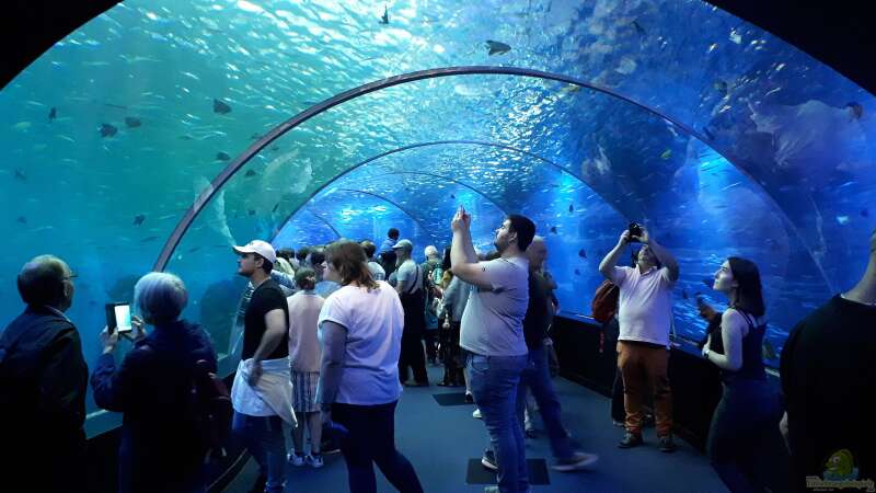 Die beliebtesten Urlaubsziele von Aquarienbesitzern