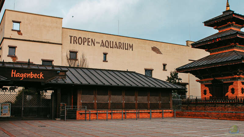 Einen Besuch wert: Das Tropen-Aquarium im Tierpark Hagenbeck