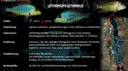 Artentafel - Lethrinops lethrinus