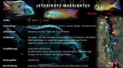 Artentafel - Lethrinops marginatus