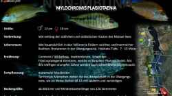 Artentafel - Mylochromis plagiotaenia