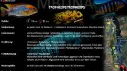 Artentafel - Tropheops tropheops