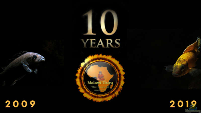 Jubiläum 10 Jahre Malawi-Guru.de