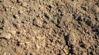 Der Artikel Tonsubstrat im Terrarium: Natürlicher Bodengrund für Reptilien, Amphibien und Wirbellose ist neu oder wurde geändert.
