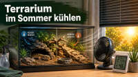 Der Artikel Terrarium im Sommer kühlen: So schützt du Reptilien, Amphibien und Wirbellose vor Überhitzung ist neu oder wurde geändert.