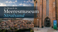 Der Artikel Zu Besuch im Meeresmuseum Stralsund: Tropische Meereswelten zwischen Klostermauern ist neu oder wurde geändert.