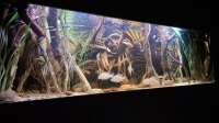 Agua viva hat das Aquarium Amazonas - Wasserwelt geändert.
