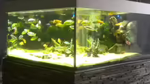 1000 liter Aquarium
