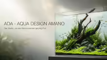 AQUA DESIGN AMANO