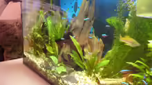 Aquarium ++Neu++