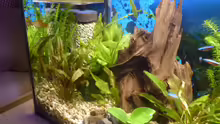 Aquarium ++Neu++