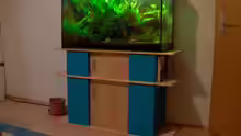 Aquarium + Schrank