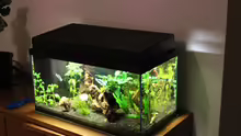 Aquarium 