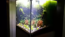 Aquarium 216l cube no name