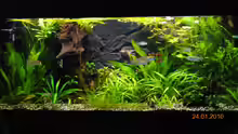 Aquarium 240 Liter