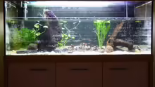 Aquarium 240er