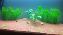 Aquarium 3