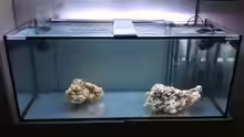 Aquarium 300L44