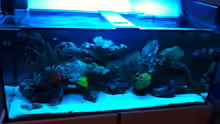 Aquarium 300L44