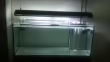 Aquarium 300L44