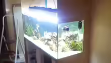 Aquarium 450l Meerwasser