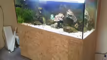 Aquarium 450l Meerwasser