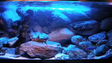 Aquarium 720 Liter Malawi