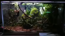 Aquarium 85 Liter