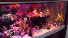 Aquarium Abenteuerland