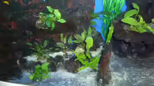 Aquarium Abenteuerland