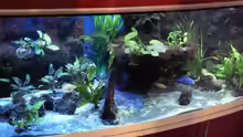 Aquarium Abenteuerland