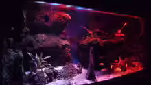 Aquarium Abenteuerland