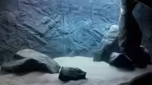 Aquarium African Tank Pl.Mdoka