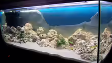 Aquarium Ansicht 1