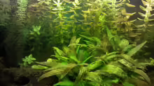 Aquarium Aquarium