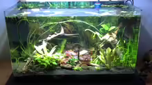 Aquarium ATB Nano- Line Square 80