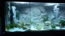 Aquarium Becken 10047