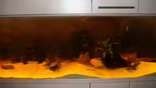 Aquarium Becken 10090