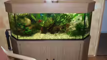 Aquarium Becken 11189