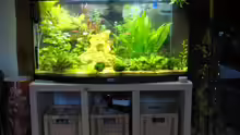 Aquarium Becken 11306