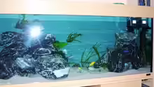 Aquarium Becken 11628